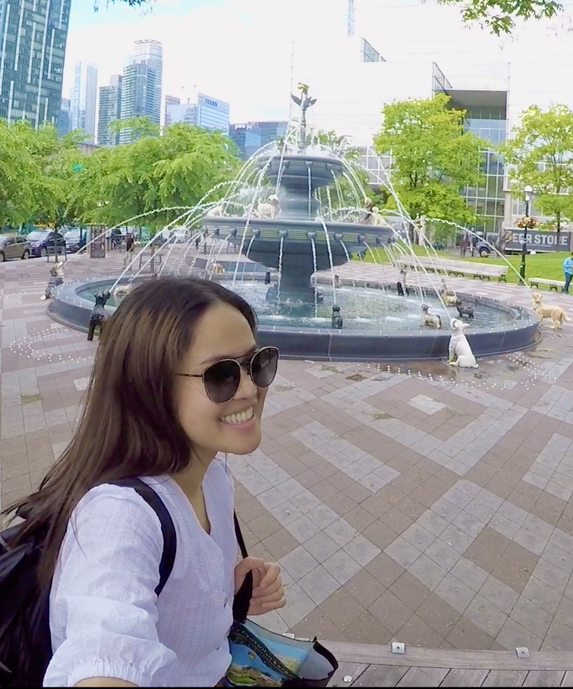 visit toronto in one day