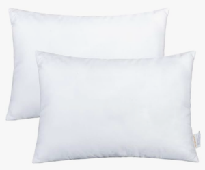 what to bring when traveling internationally